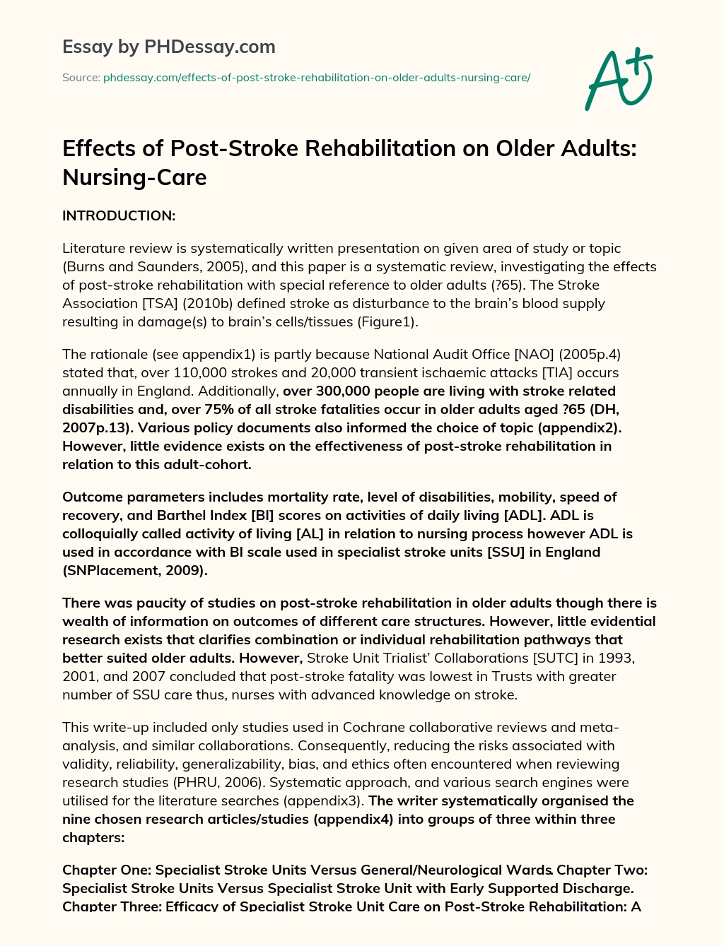 Effects of Post-Stroke Rehabilitation on Older Adults: Nursing-Care essay