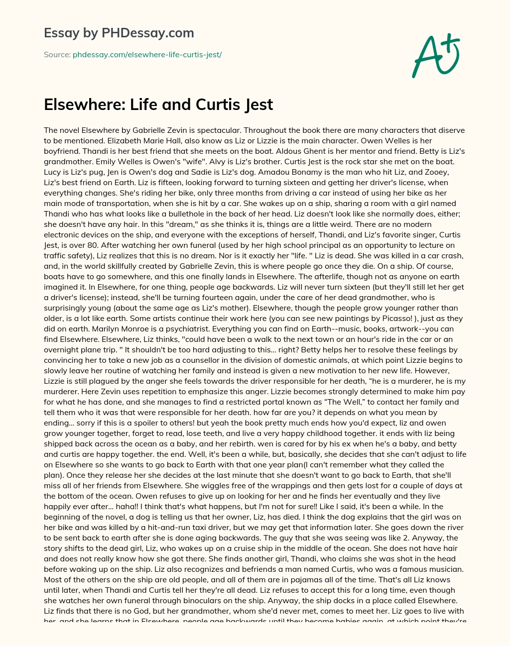Elsewhere: Life and Curtis Jest essay