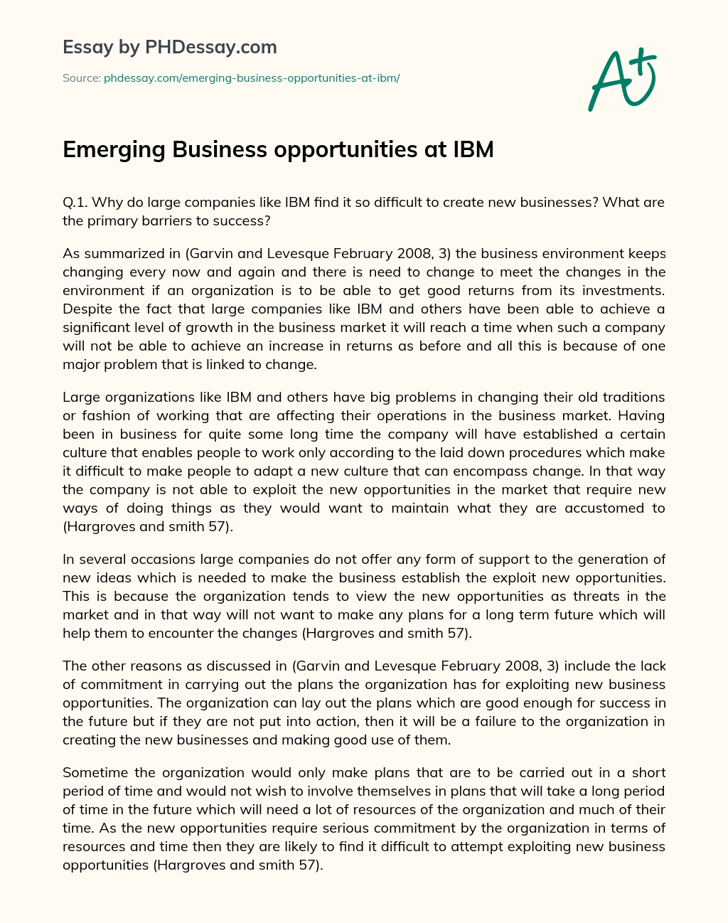 Emerging Business opportunities at IBM essay