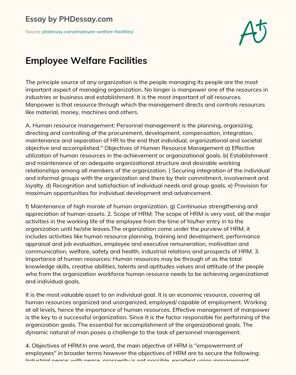 Employee Welfare Facilities essay