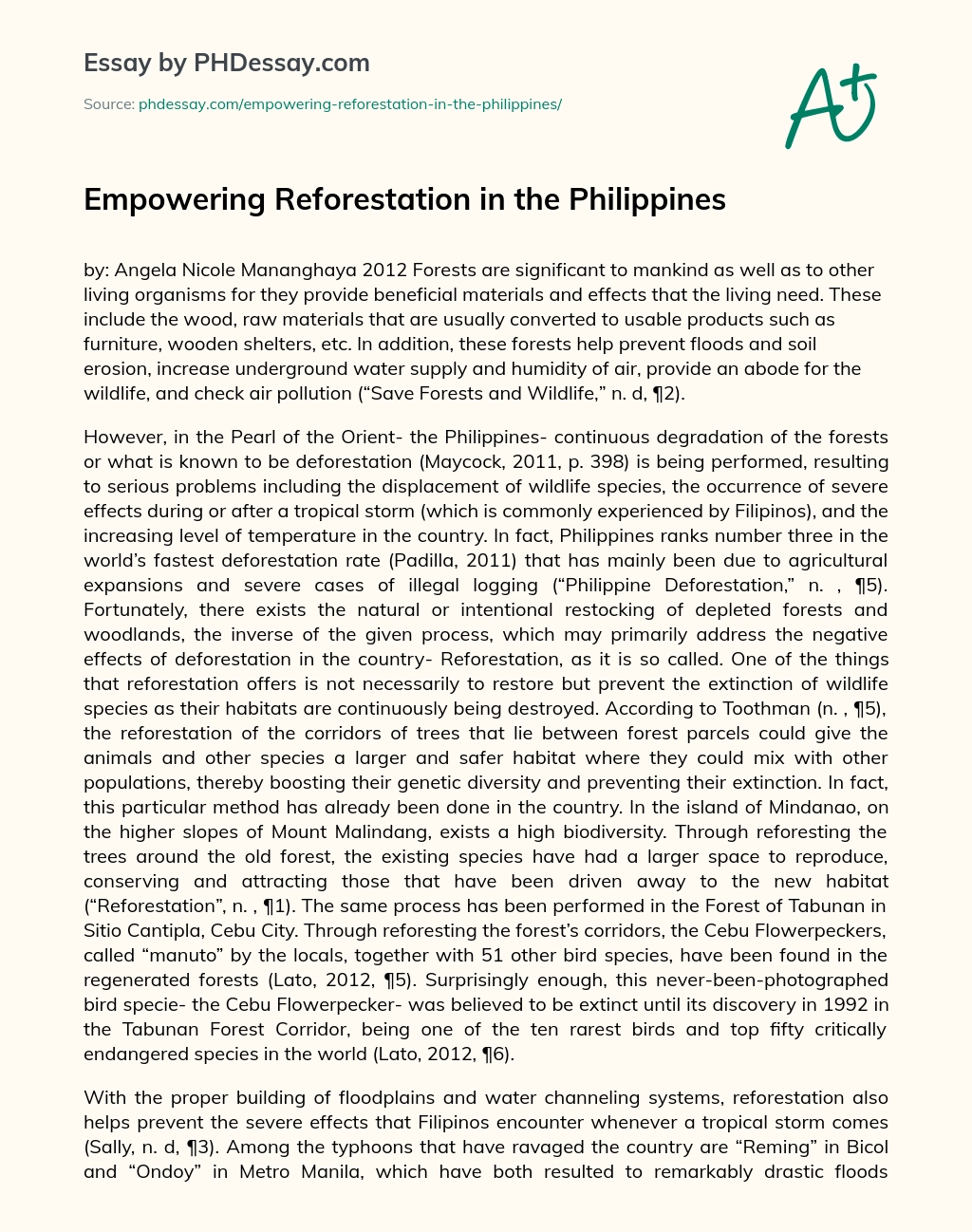 Empowering Reforestation in the Philippines essay