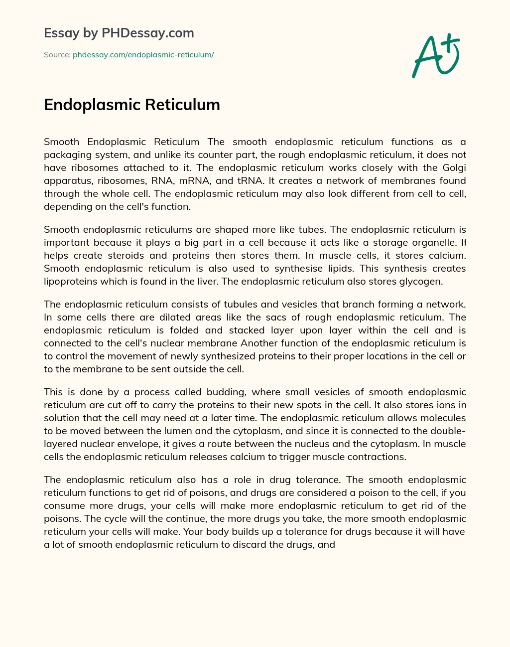 Endoplasmic Reticulum essay