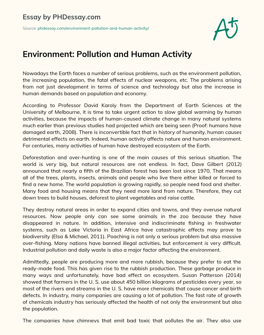 Environment: Pollution and Human Activity essay