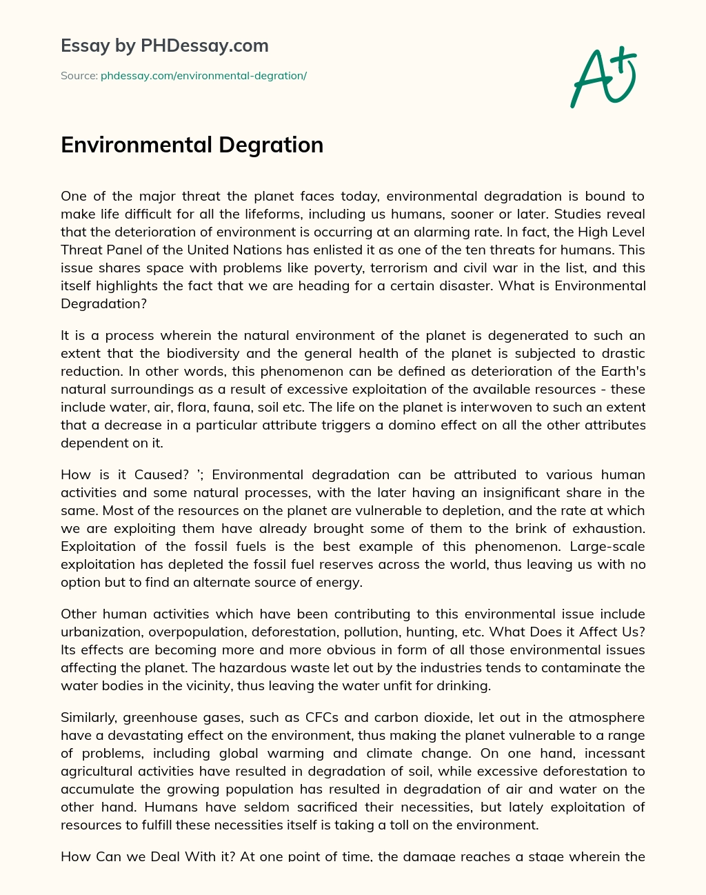 Environmental Degration essay