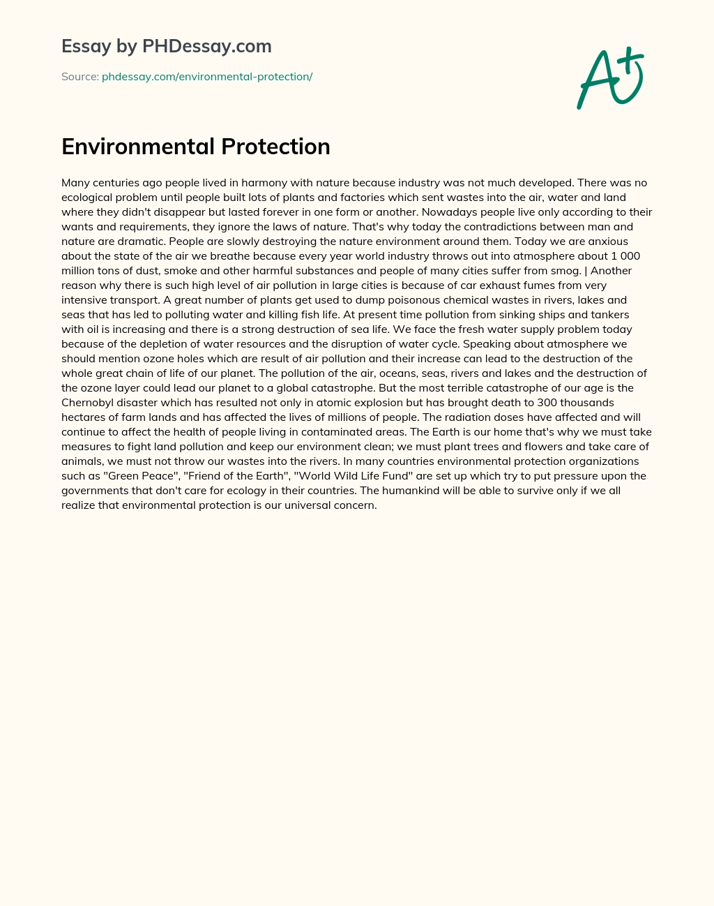 Environmental Protection essay