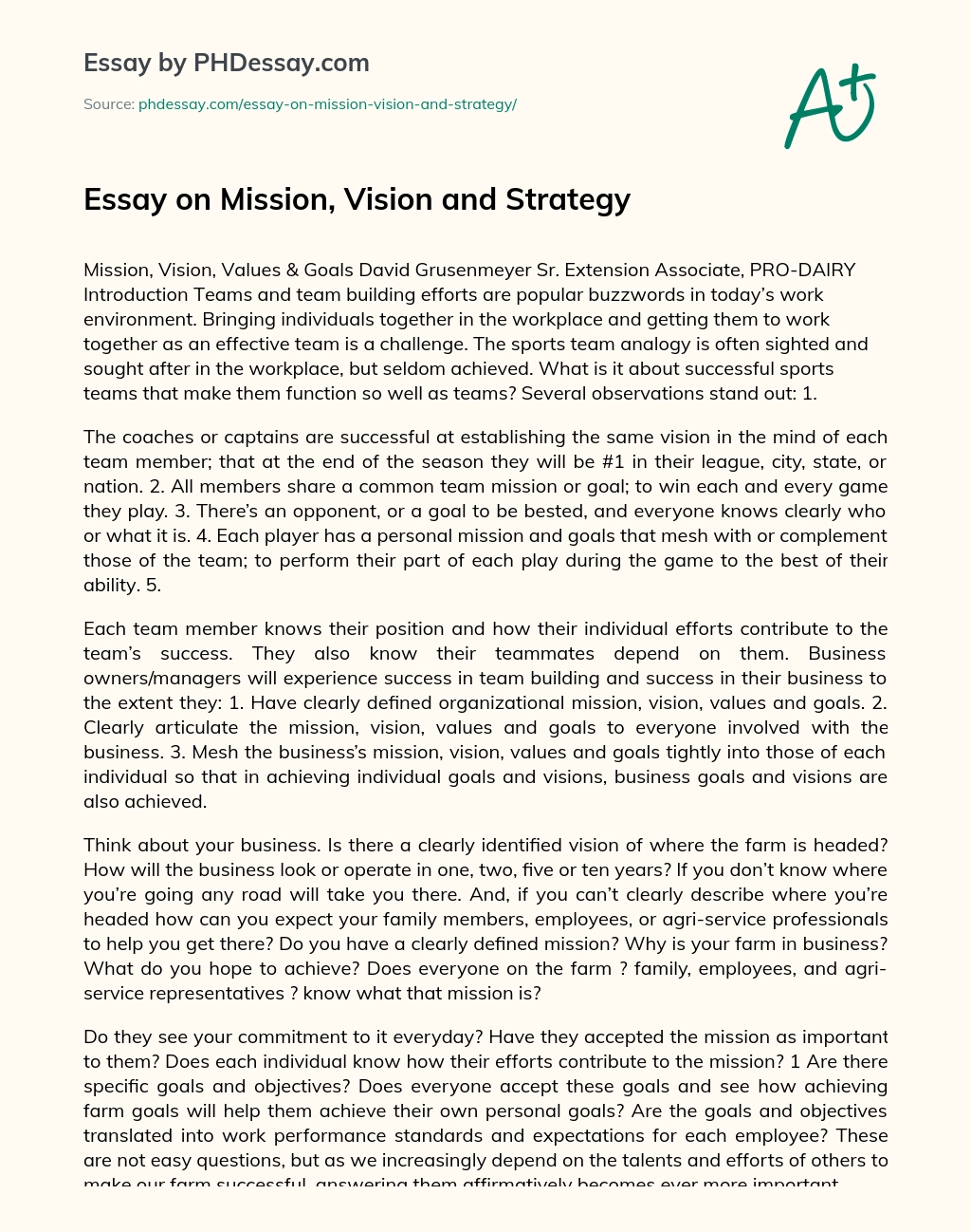 Essay on Mission, Vision and Strategy essay