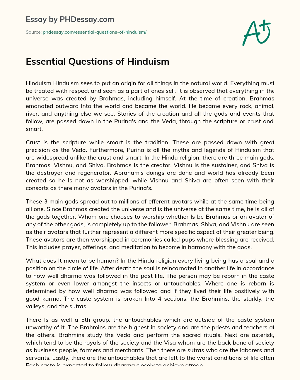 Essential Questions of Hinduism essay