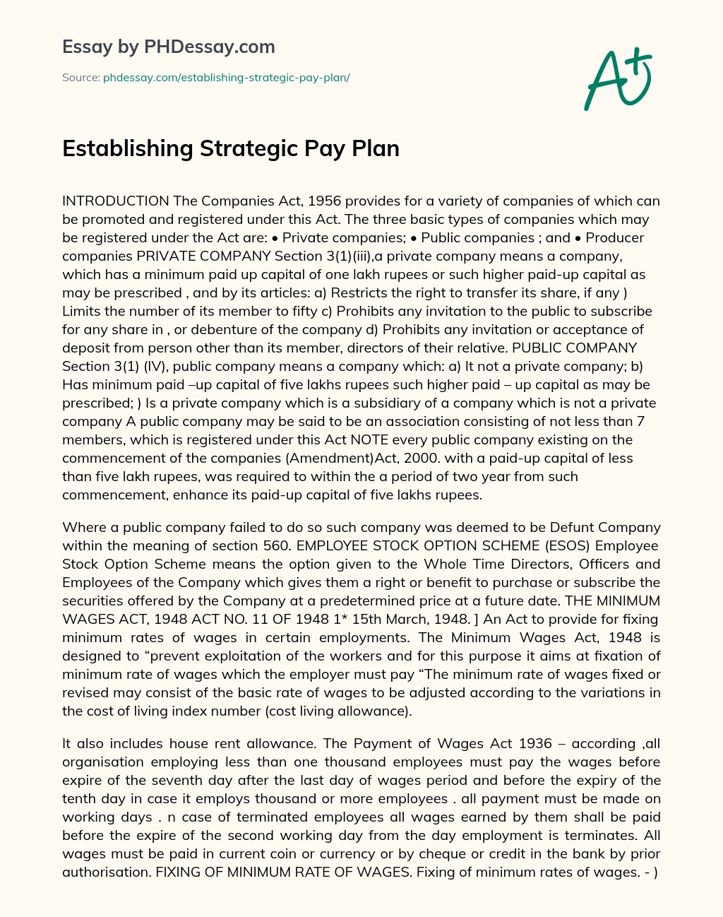Establishing Strategic Pay Plan essay