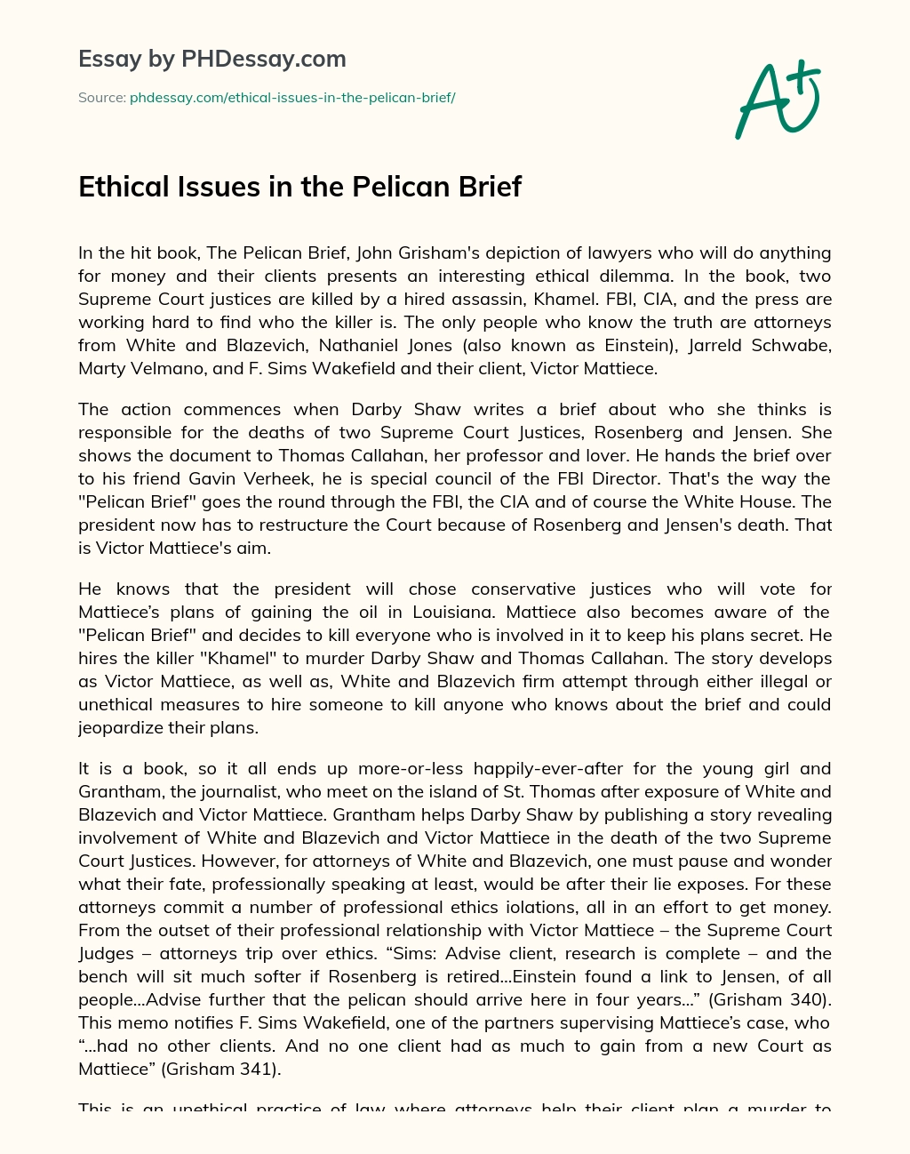 Ethical Issues in the Pelican Brief essay