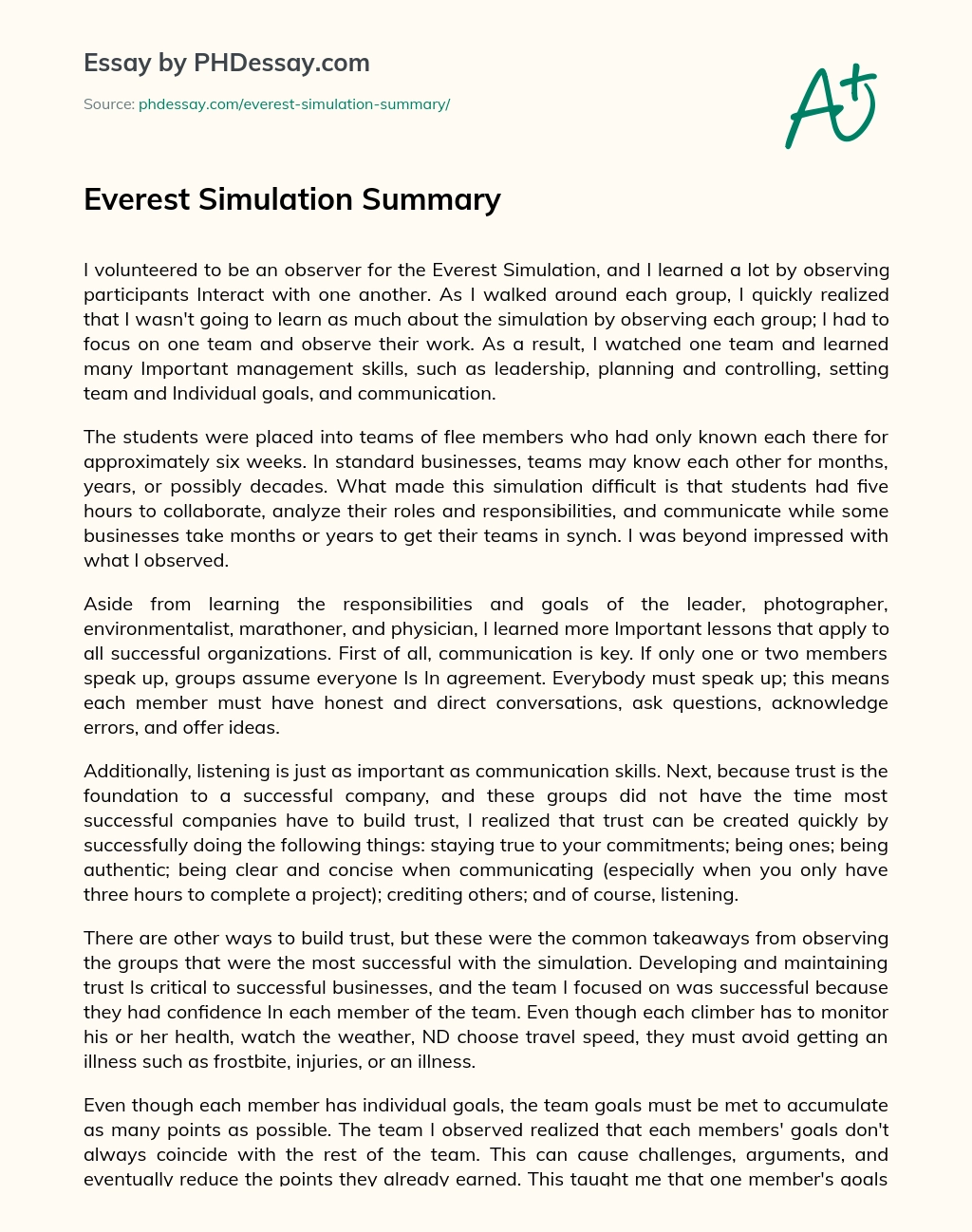 Everest Simulation Summary essay
