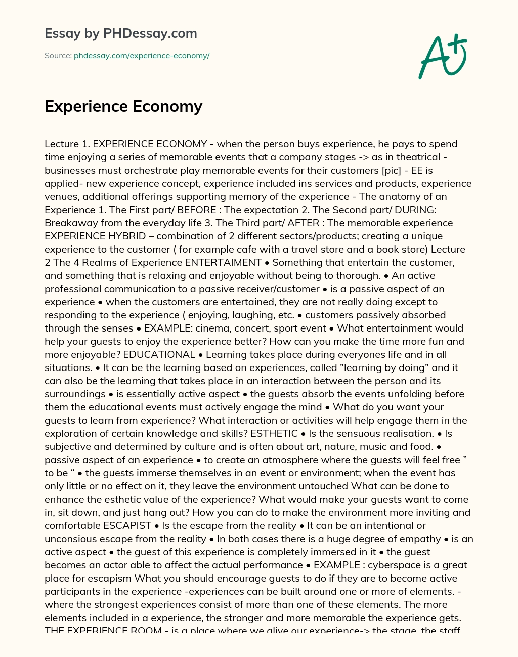 Experience Economy essay
