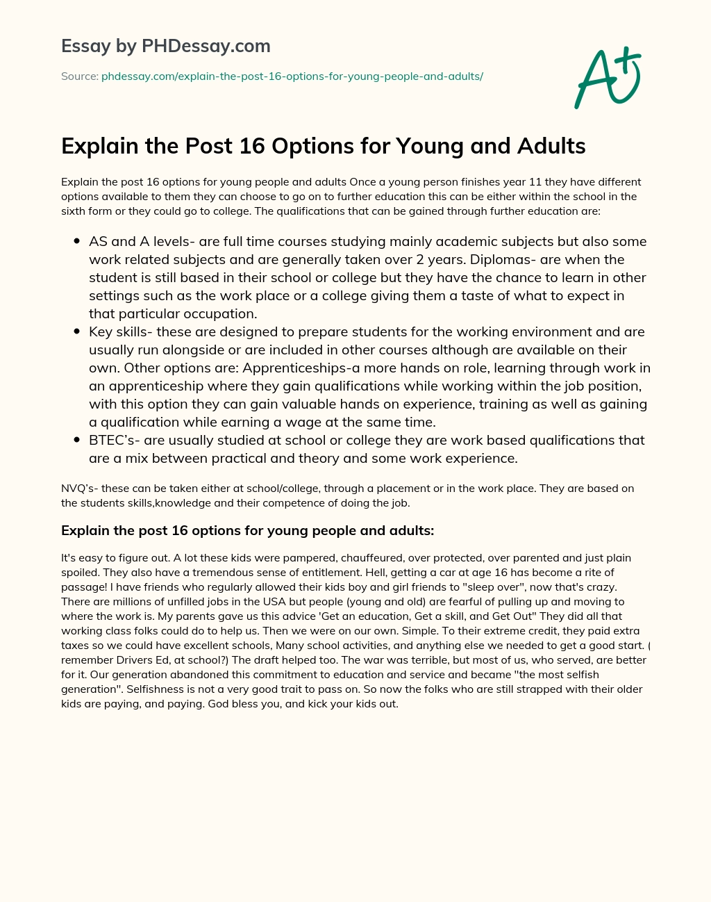Explain the Post 16 Options for Young and Adults essay