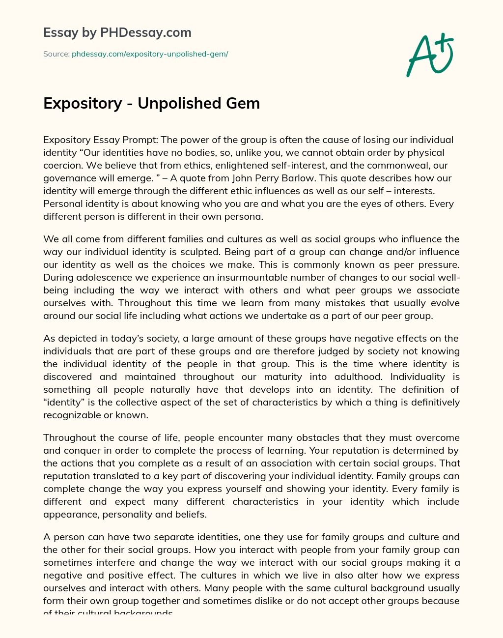 Expository Unpolished Gem Essay Example PHDessay