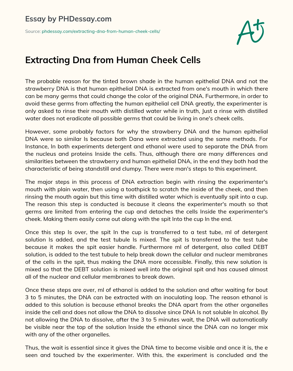 Dna from Human Cheek Cells essay
