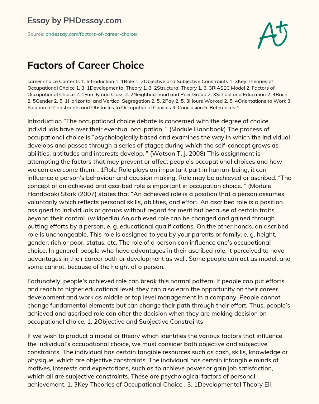 career choice essay example