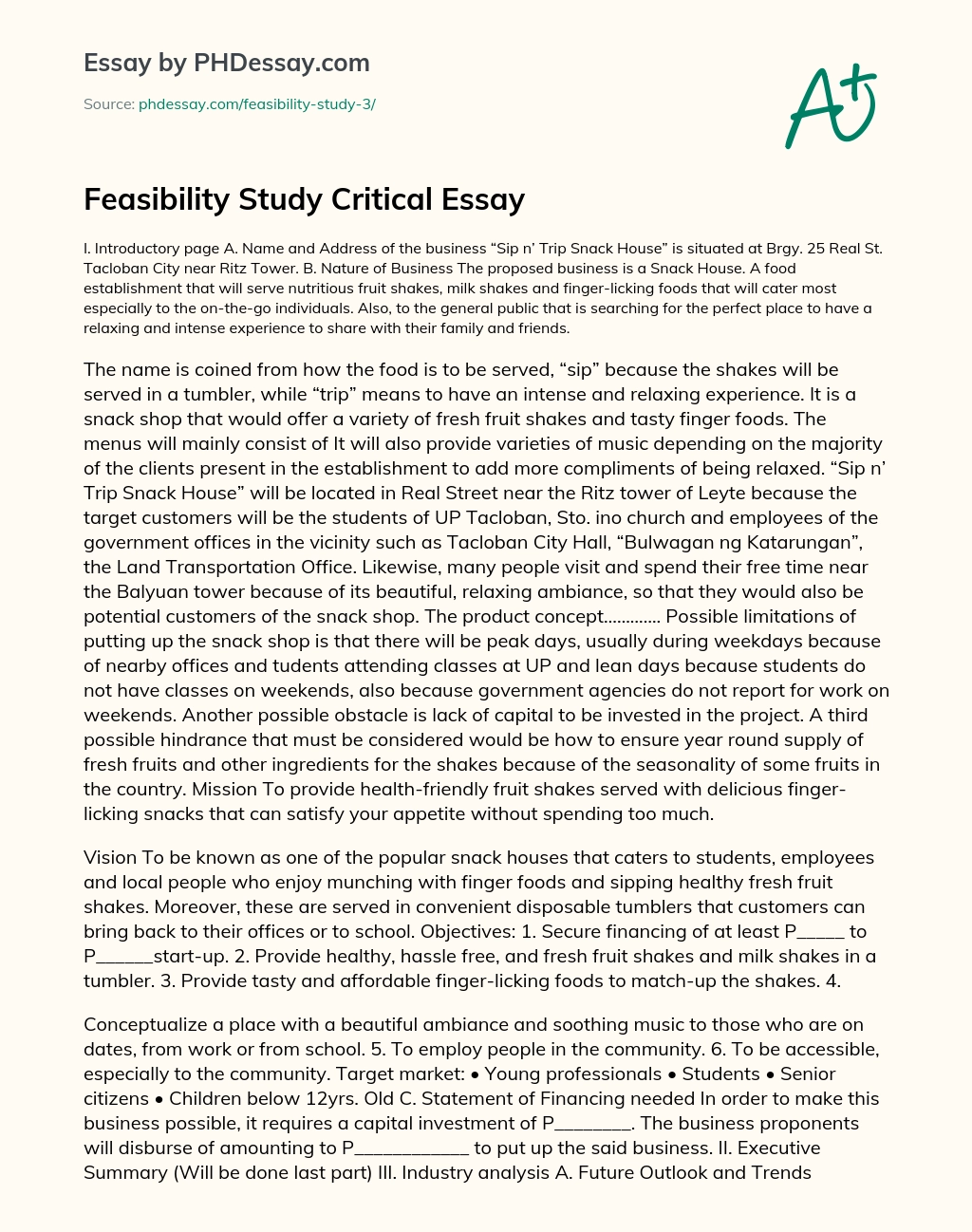 Feasibility Study Critical Essay essay