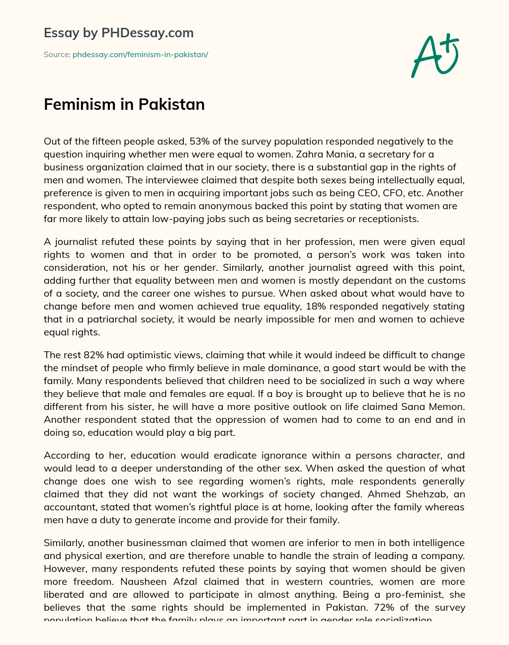 Feminism in Pakistan essay
