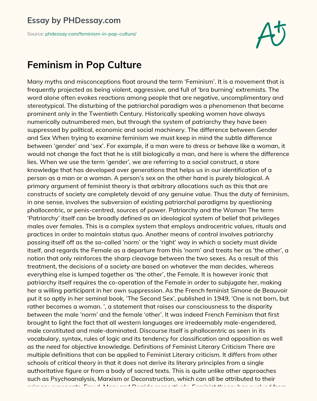 Feminism in Pop Culture essay
