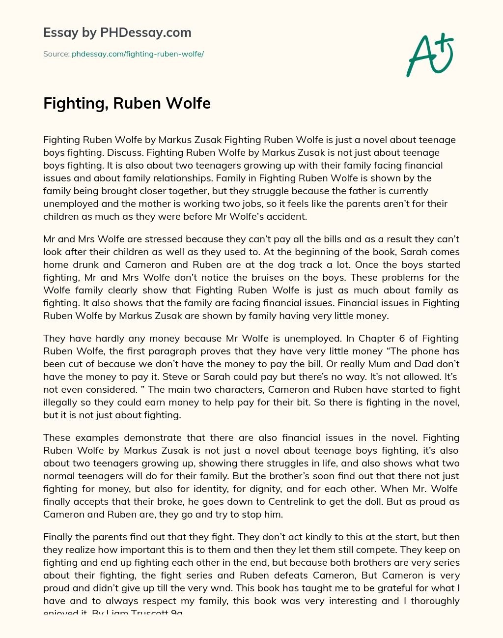 Fighting, Ruben Wolfe essay