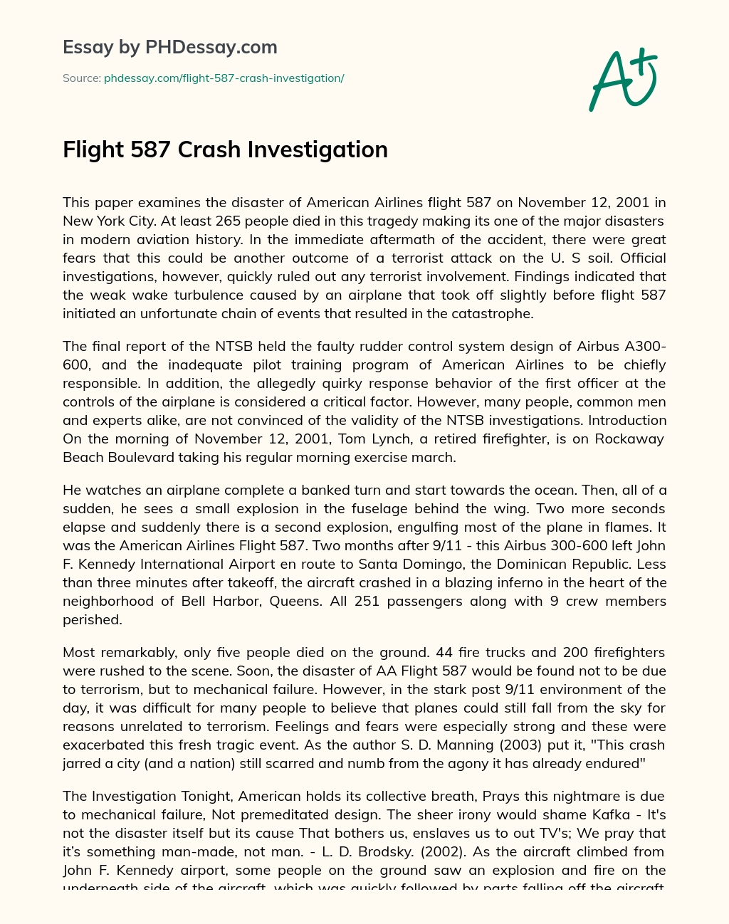 Flight 587 Crash Investigation essay