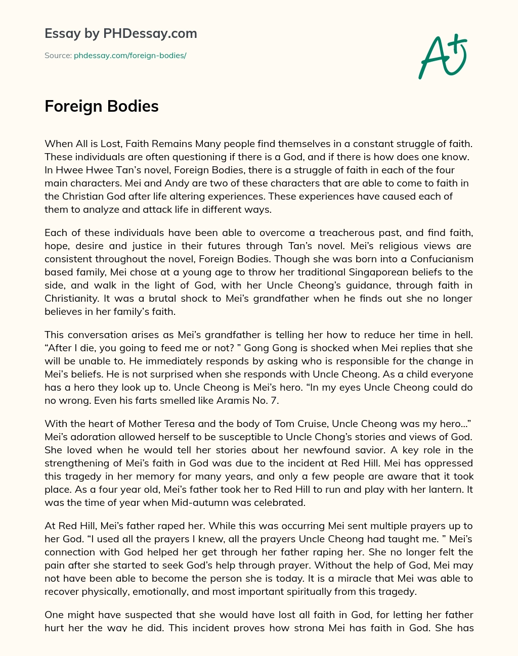 Foreign Bodies essay