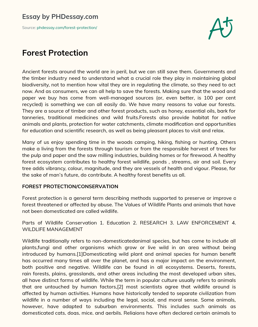 Forest Protection essay