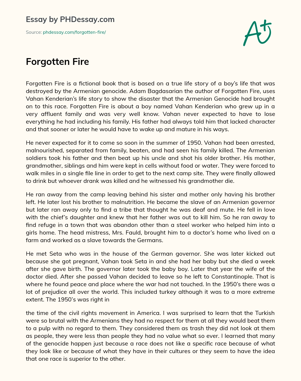 Forgotten Fire essay