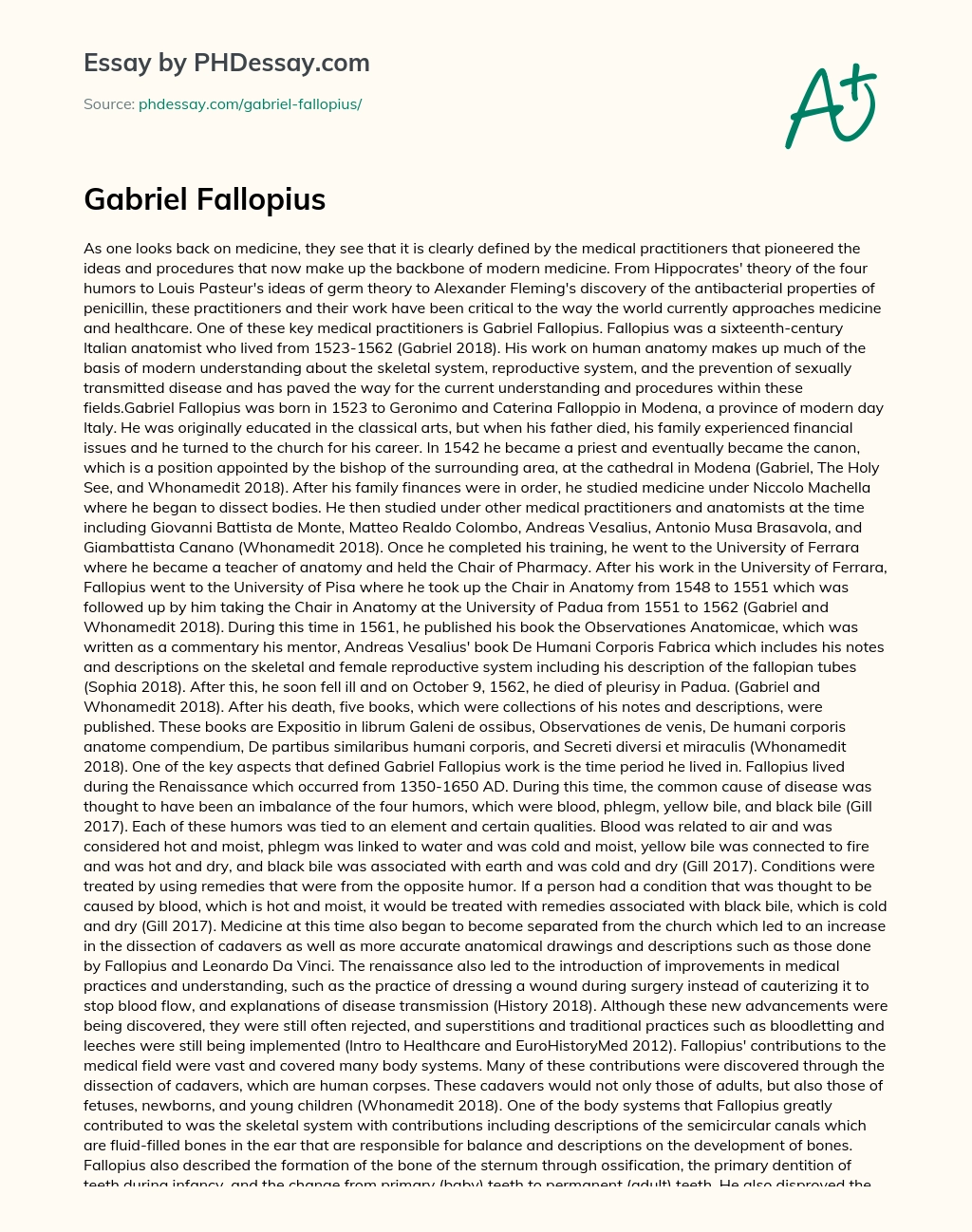 Gabriel Fallopius essay
