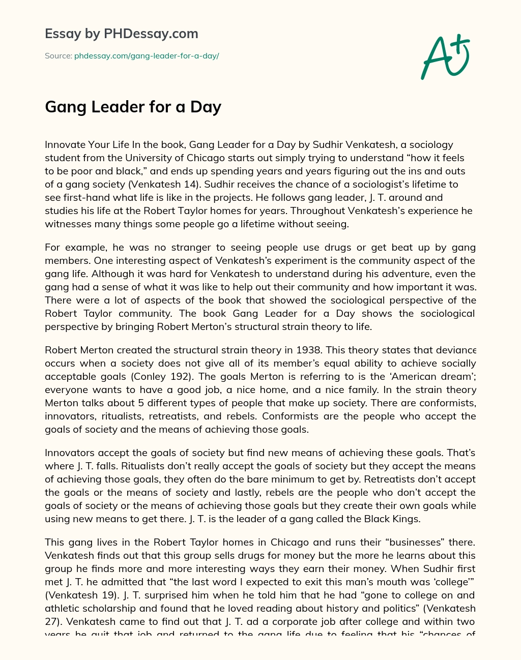 Gang Leader for a Day essay