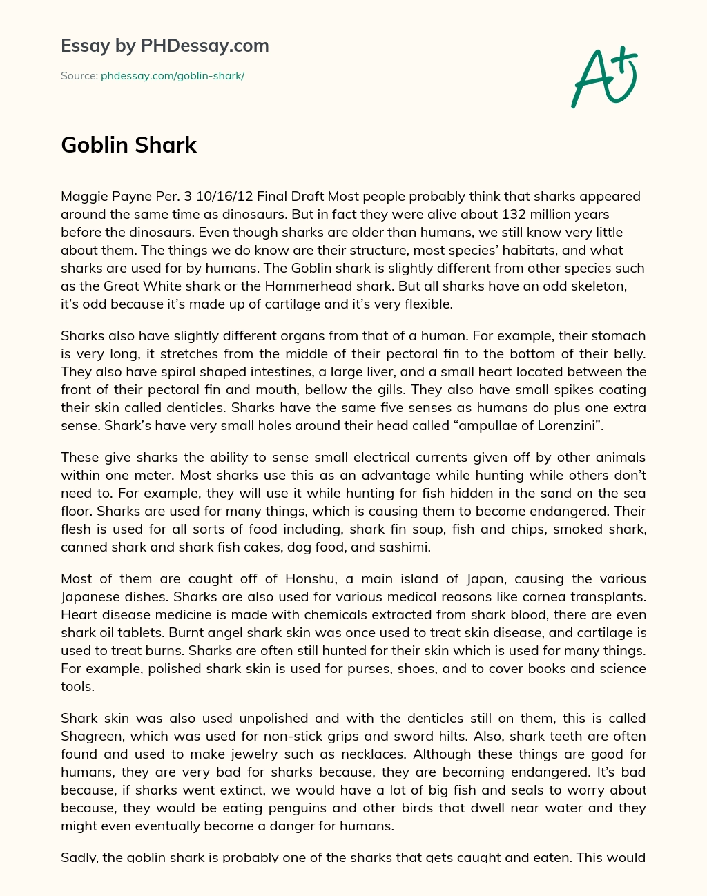 Goblin Shark essay