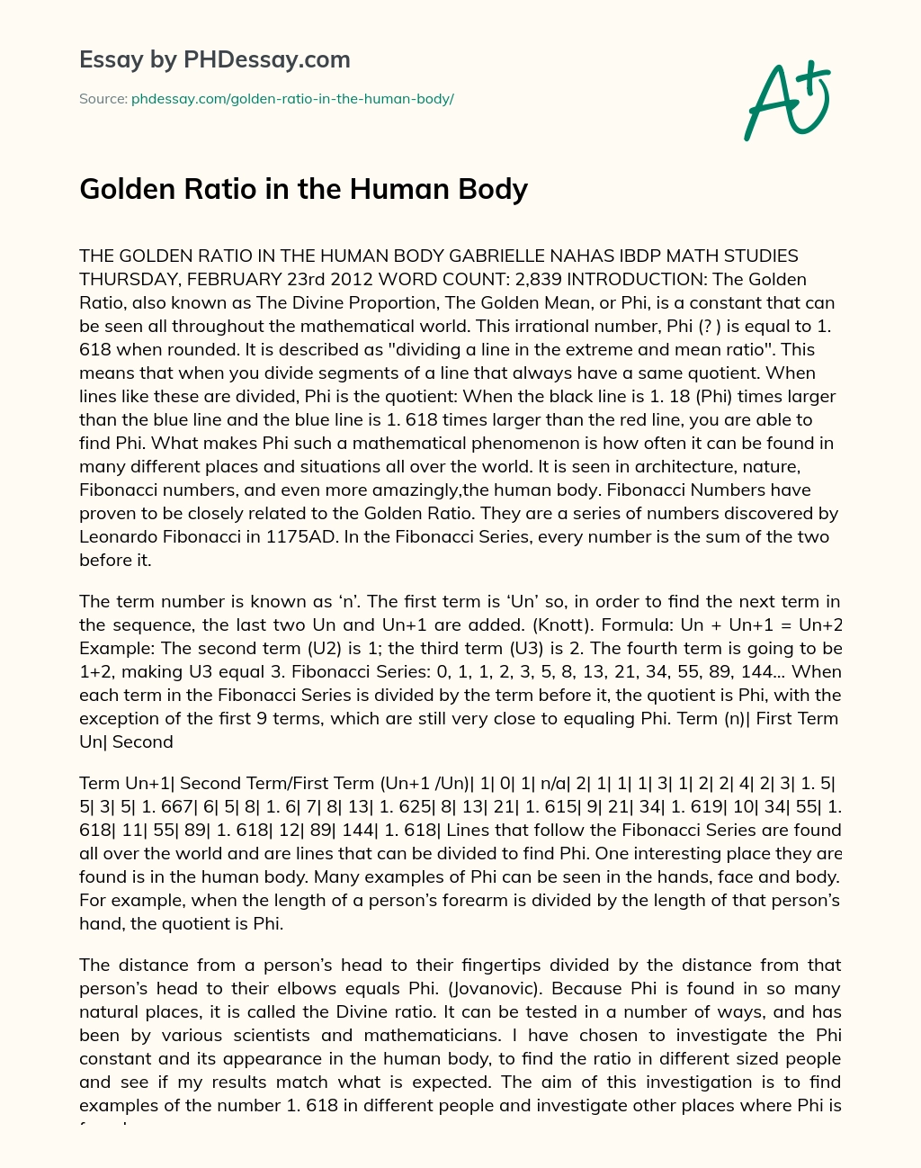 Golden Ratio in the Human Body essay
