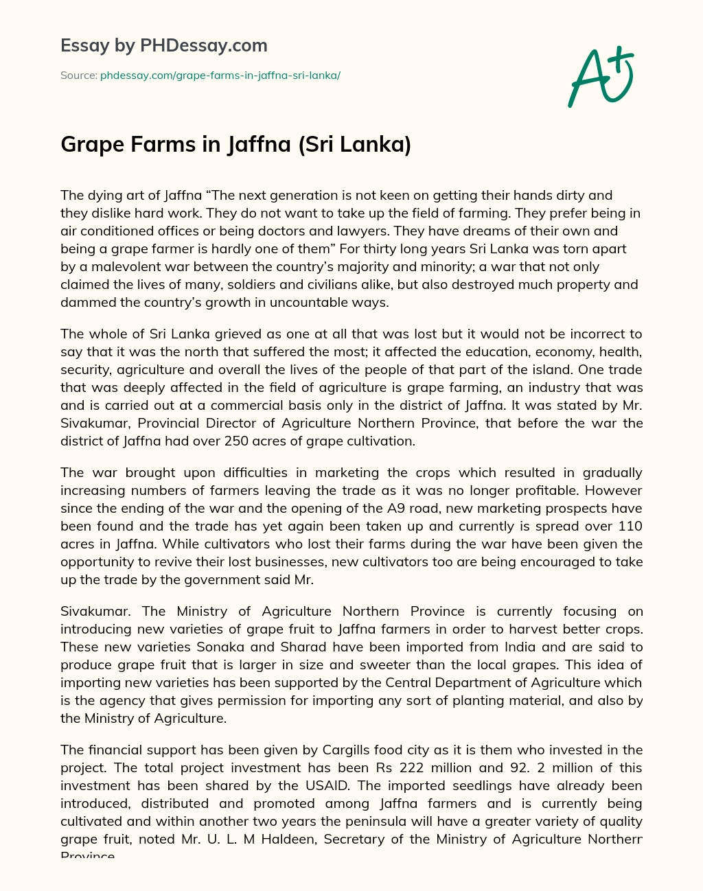 Grape Farms in Jaffna (Sri Lanka) essay