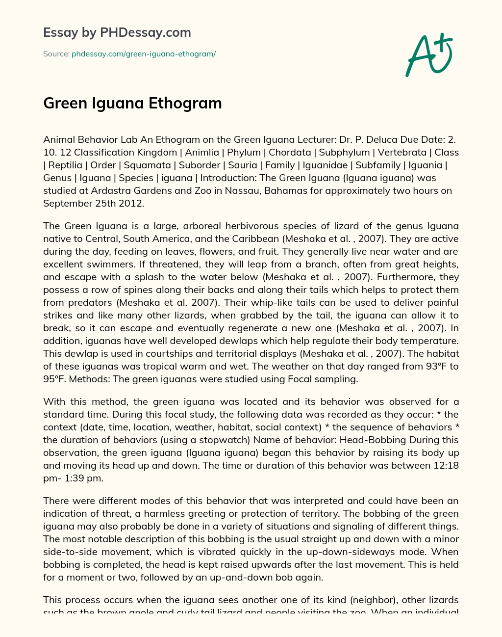 Green Iguana Ethogram essay