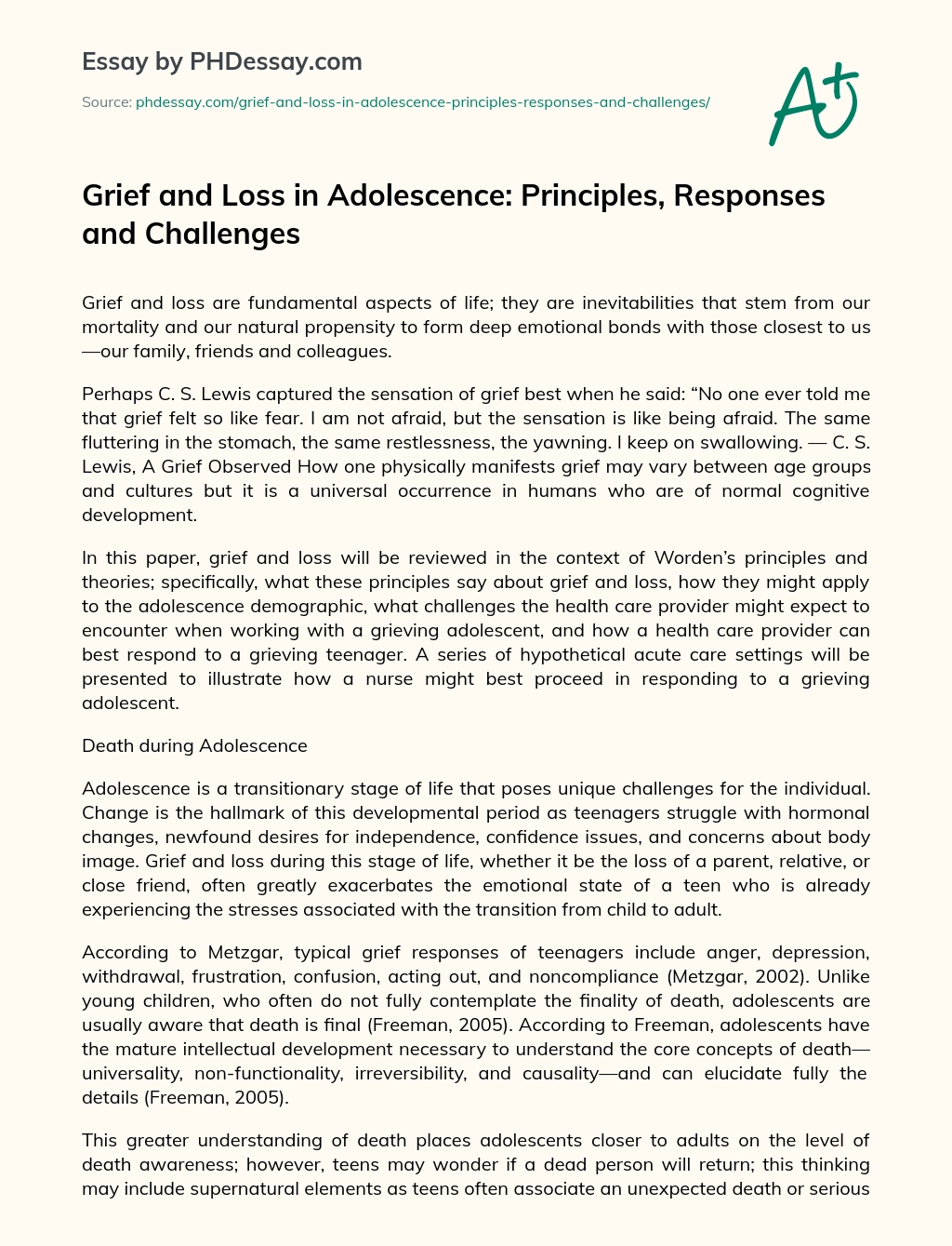 Grief and Loss in Adolescence: Principles, Responses and Challenges essay