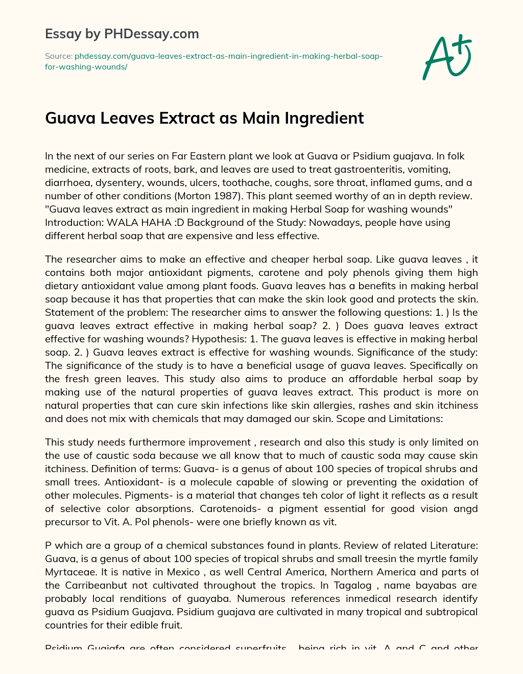 Guava Leaves Extract as Main Ingredient essay