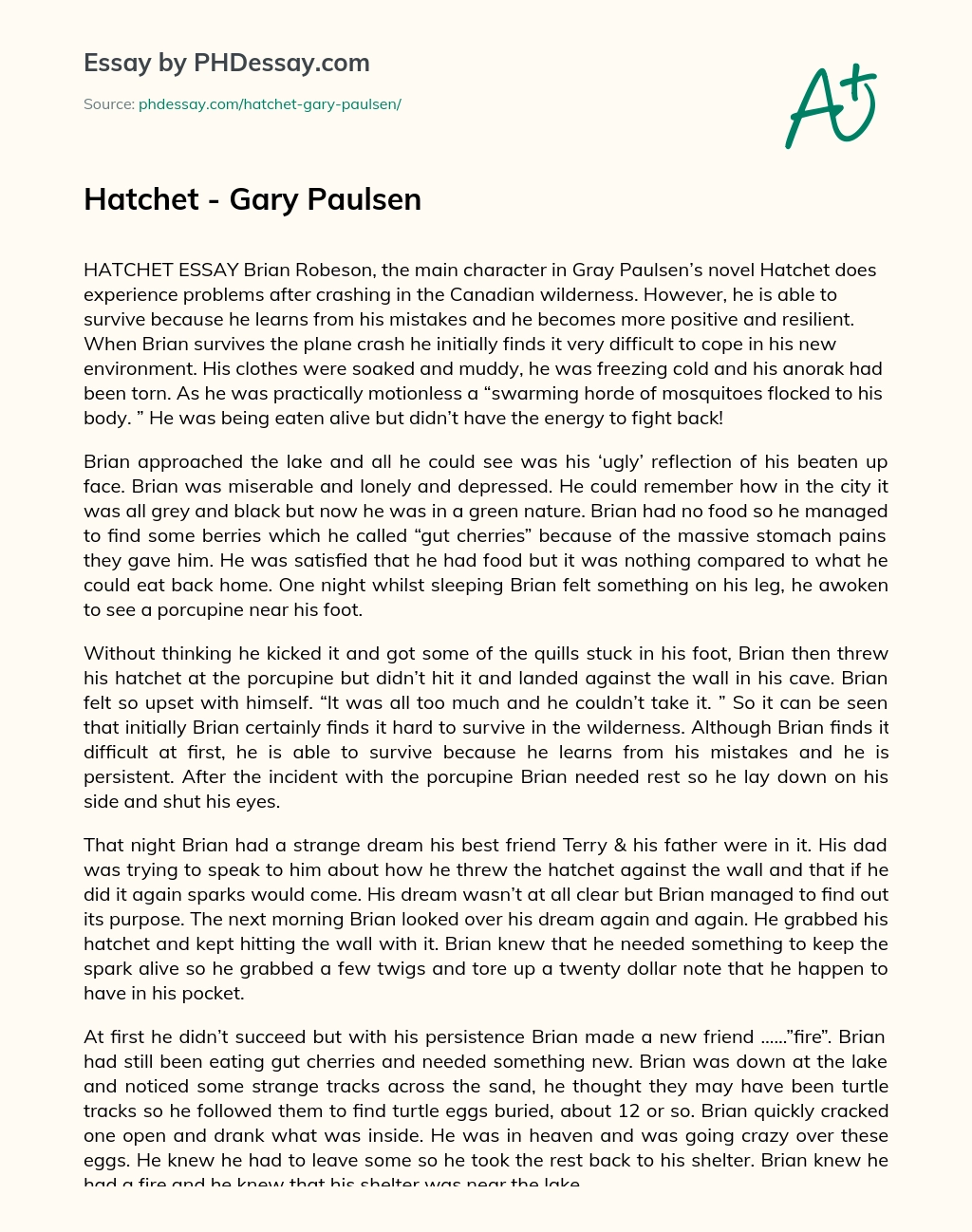 Hatchet – Gary Paulsen essay