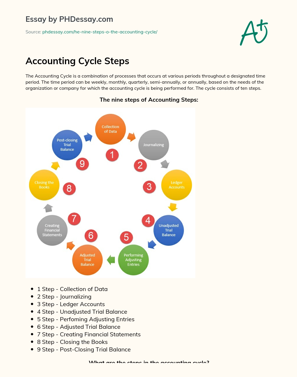 Accounting Cycle Steps essay