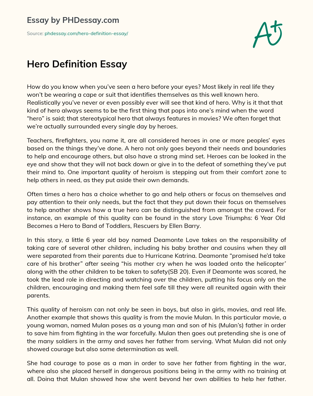 Hero Definition Essay essay