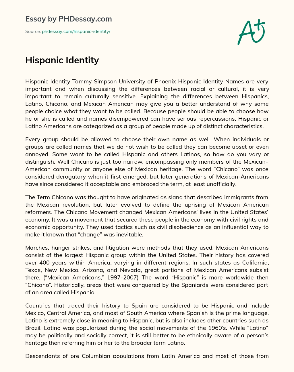 Hispanic Identity essay