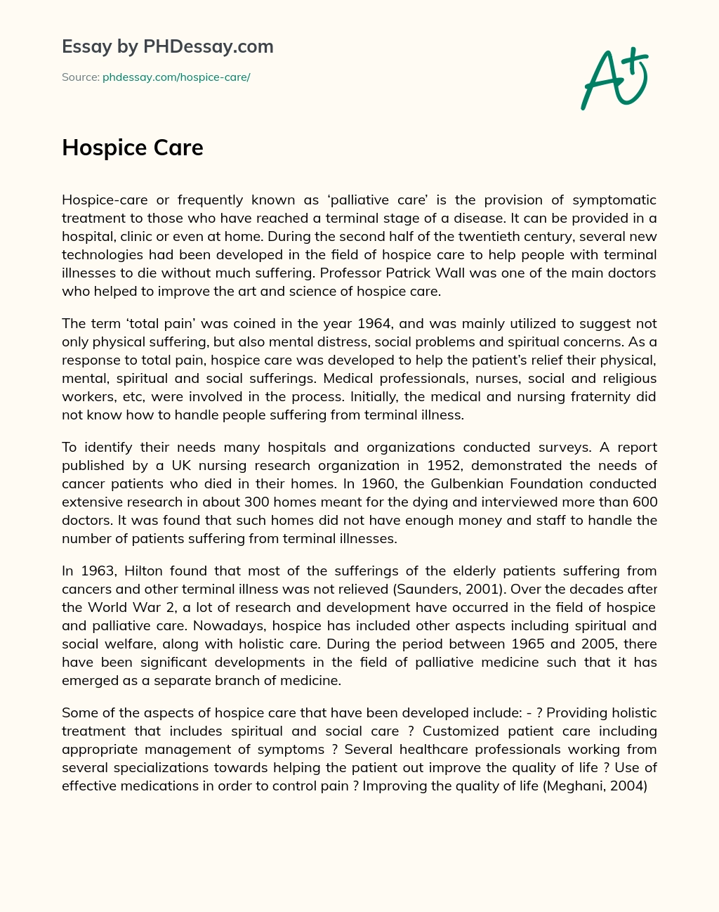 Hospice Care essay