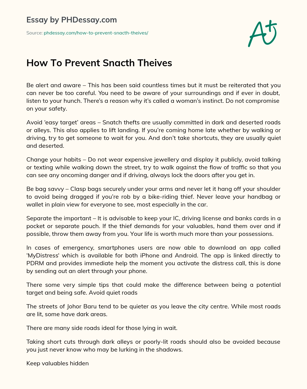 How To Prevent Snacth Theives essay