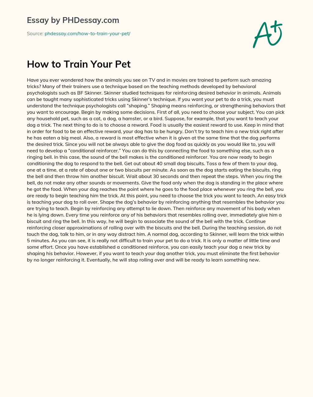 How to Train Your Pet essay