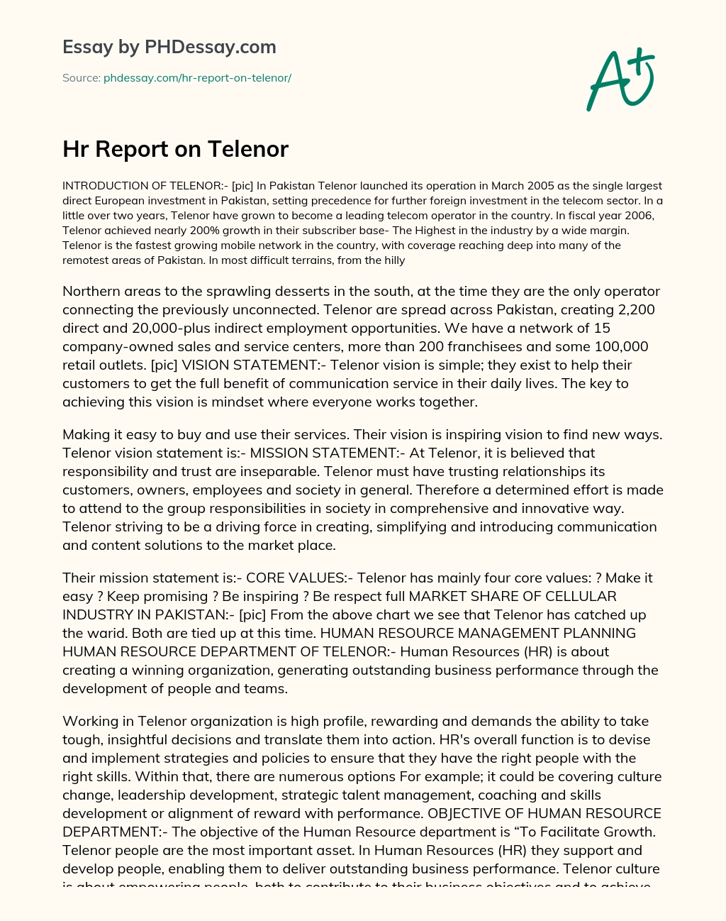 HR Report on Telenor essay