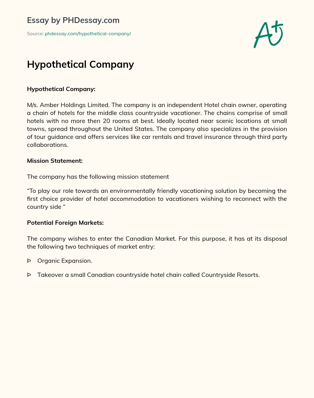 Hypothetical Company essay