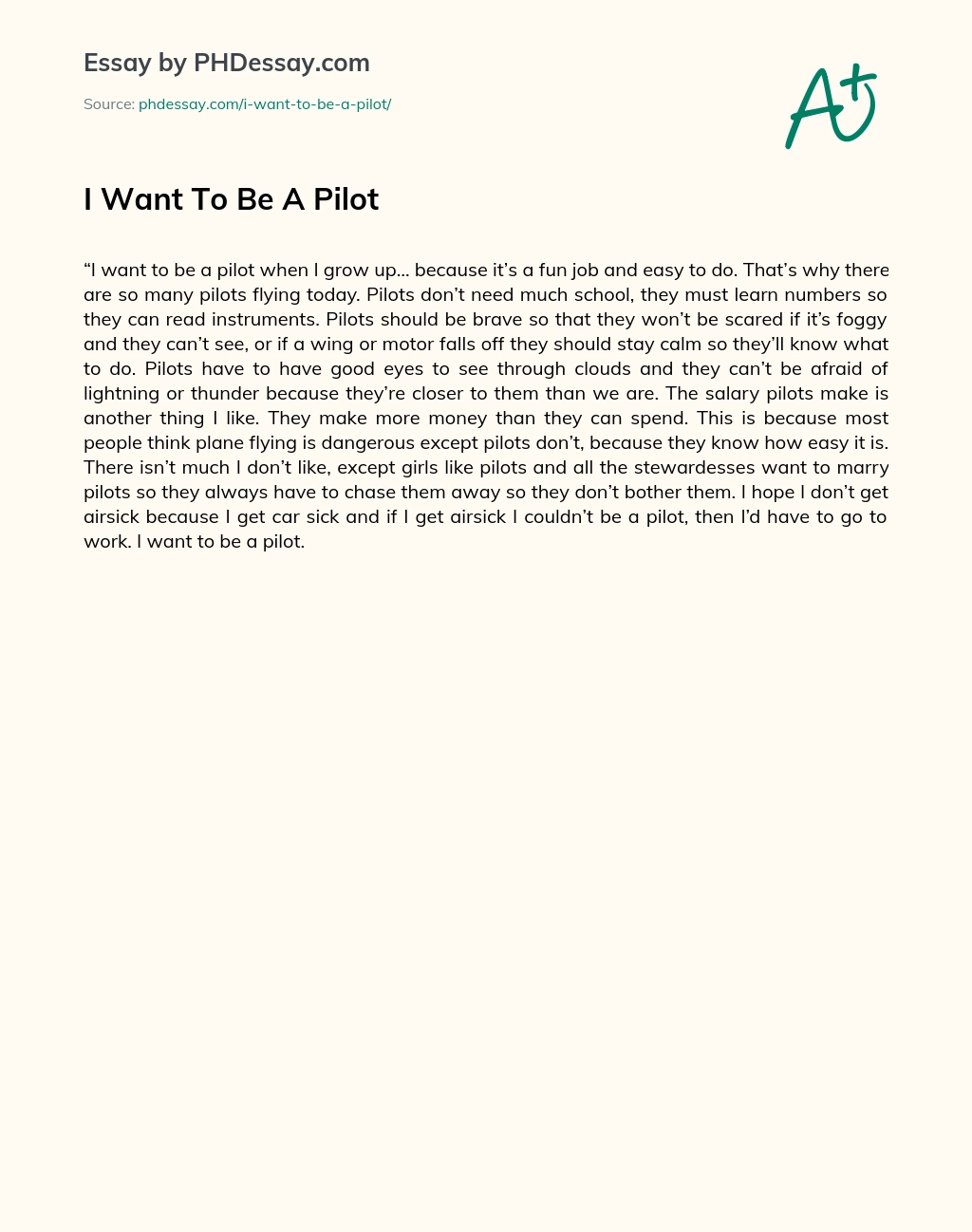I Want To Be A Pilot essay