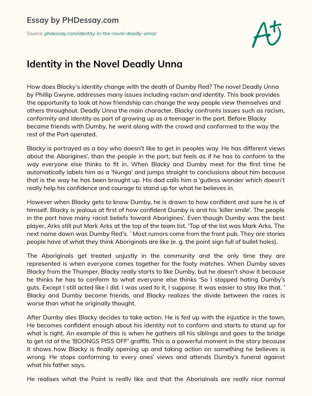 Identity in the Novel Deadly Unna essay