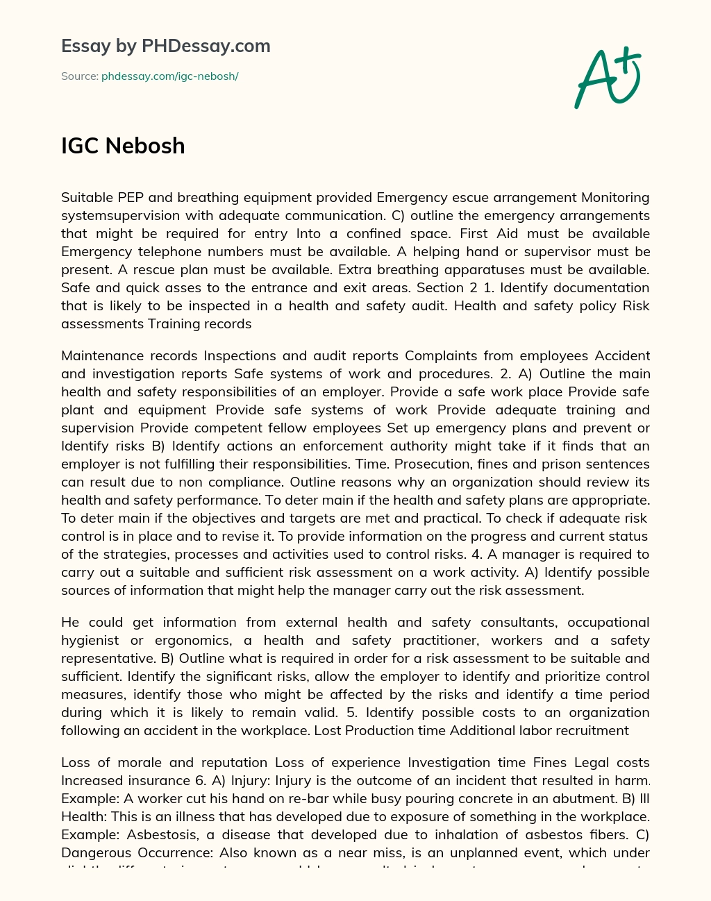IGC Nebosh essay
