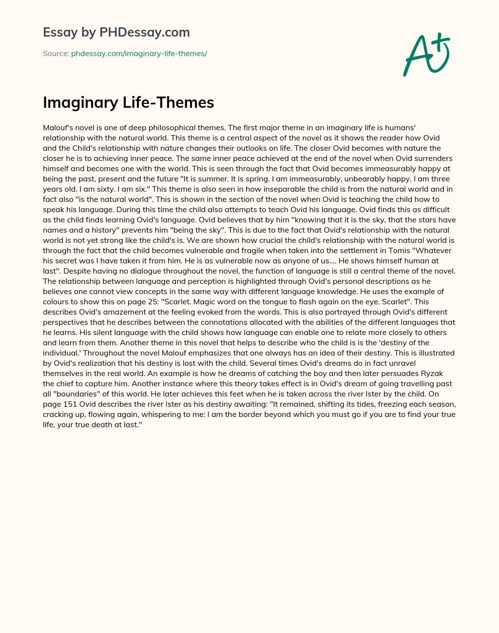 Imaginary Life-Themes essay