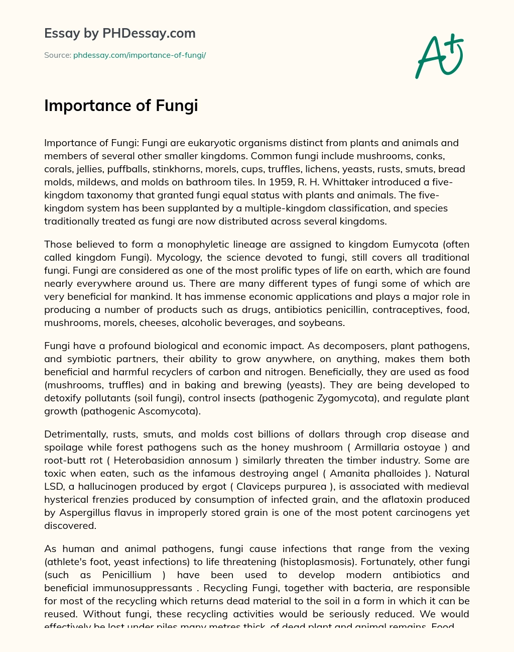Importance of Fungi essay