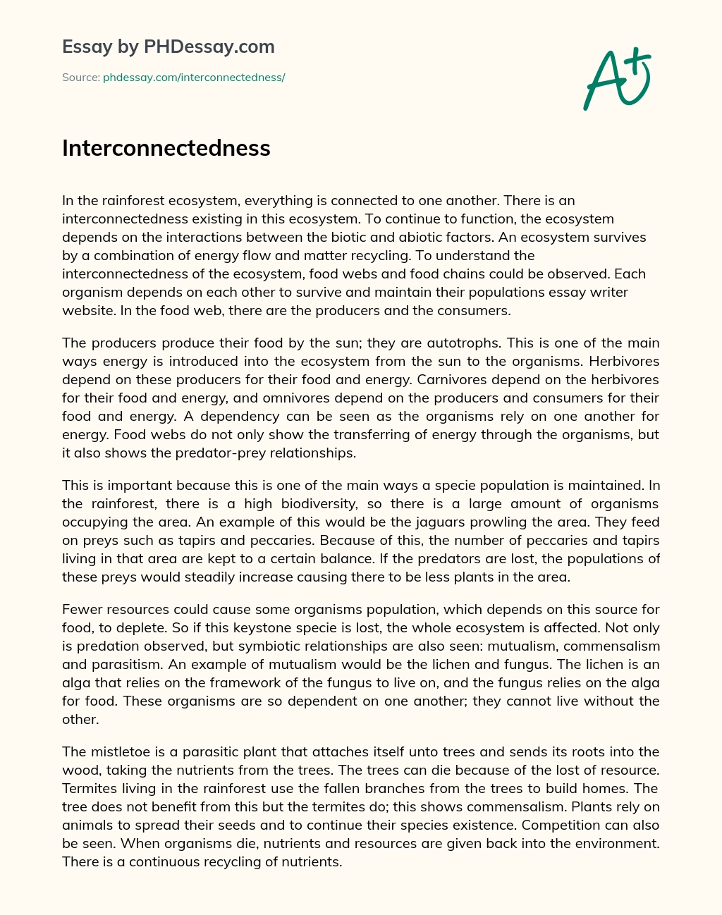 Interconnectedness essay